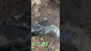 Ботильоны в грязи