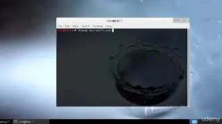 33# Kali Linux - DNSmapping