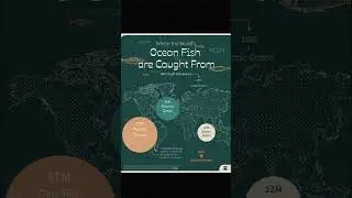 Where the World’s Fish Are Caught 🌍 | Top 5 Oceans for Wild Fish