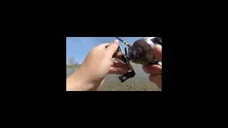 голавль на волкер #fishing  #рыбалка #рыбалканаспиннинг #рыба