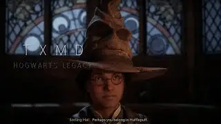 ⋆⁺₊⋆ ☾⋆⁺₊⋆Hogwarts Legacy First Run-through! (Part 1)⋆⁺₊⋆ ☾⋆⁺₊⋆