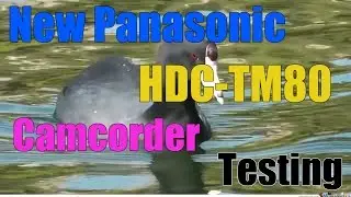 New Panasonic HDC-TM80 Camcorder Video Test