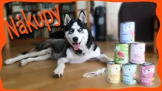 Aegon Na Nákupech & Vaše Komentáře