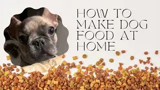 How to make HOMEMADE dog food #dogs #homemadedogfood #dogfood