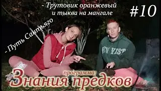 Трутовик оранжевый и тыква на мангале | Путь Сантьяго. Программа «Знания предков». Выпуск #10