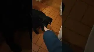DO A BACK FLIP!