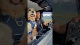 Traveling the world with my beloved dog 