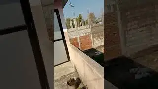 Nepal Plane Crach 