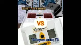 Сравнение инкубатора Smart Рябушка и Теплуша Люкс 72.