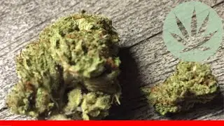 Tahoe Og - All About This Strain