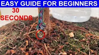The quickest and easiest way to build a homemade drip irrigation system #plasticrecycle