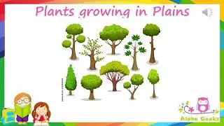 Adaptations in plants growing in Plains Module - 2.3  (Chapter 1 - Olympiad Class 4 Science)