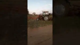 17 апреля 2020 г.