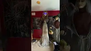 Darling Dolly Spirit Halloween NEW FOR 2023