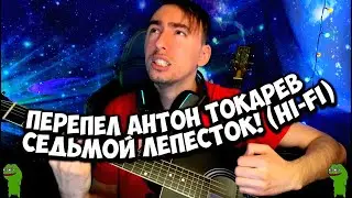 ГИТИРИСТ ПЕРЕПЕЛ СЕДЬМОЙ ЛЕПЕСТОК на ГИТАРЕ ( АНТОН ТОКАРЕВ HI-FI ) ( COVER by РОМЫЧ )