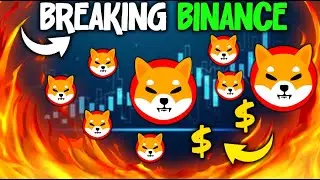 BREAKING BINANCE SHIBA CAN DRAG INU INTO A GIANT MOVEMENT ! SHIBA INU NEWS TODAY