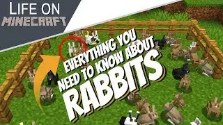 Everything About Rabbits in Minecraft: Killer Bunny + All You Need to Know about Rabbits (Avomance)