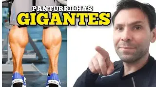 MELHORES EXERCÍCIOS PARA PANTURRILHAS GIGANTES NA ACADEMIA FITNESS