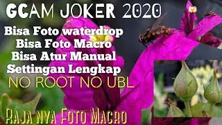 Baru!! Tehnik Dasar Foto Macro Pakai Gcam | Mengontrol Gcam Joker 2020