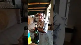 Dimas & политика