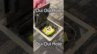 ouioui hole