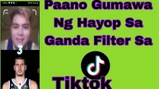 Paano Gumawa Ng Hayop Sa Ganda Filter Sa Tiktok