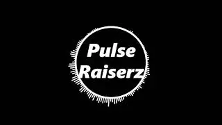 [Virtual Riot Style ] PulseRaiserz - Dubstep Prophets
