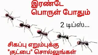 சிகப்பு எறும்புக்கு 