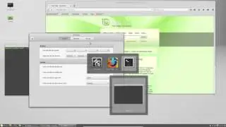 37_Mint Overview