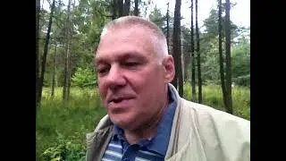 Лопухи цветут багрянородны #поэзия #импровизация #shorts #мистика