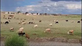 Аксенгир ауылы 2024жыл