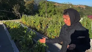 Плоды природного земледелия в Грузинском исихастирии
