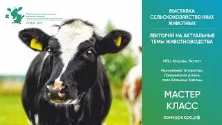 09.07.2023 Мастер-класс "Методика линейной оценки экстерьерного профиля КРС голштинской породы"