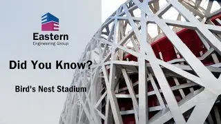 Inside the Bird's Nest Stadium: A Journey into Architectural Innovation