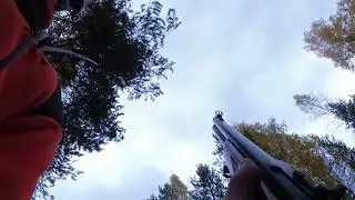 Hirvenmetsästys. kauden 2022 aloitus. Moose Hunting 2022.