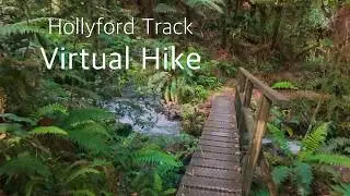 Hollyford Virtual Hike for Treadmills