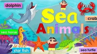 Sea Animals  for Preschoolers|Learn Different Sea Animals|Video Of Sea Animals#seaanimals