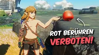 Kann man 'Zelda: Tears Of The Kingdom' spielen ohne ROT zu berühren?