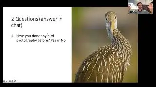 Bird Photography Basics