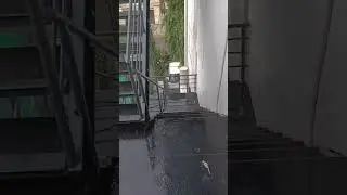 Having Rain 🌧️