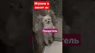 #приколы#я# плов?!?