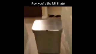 Wii Shitpost