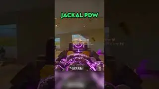 VIRAL BLACK OPS 6 CLASSES! (C9, JACKAL PDW, TANTO 22)