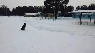 Подготовка к новому году