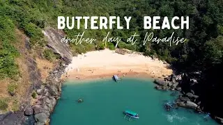 Butterfly beach ｜ Dolphin Safari ｜ South Goa