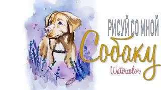 Как нарисовать собаку | РИСУЙ СО МНОЙ