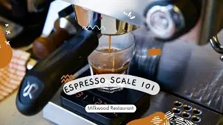 Espresso Scale 101 – All Important Things To Know About Weighing your Coffee