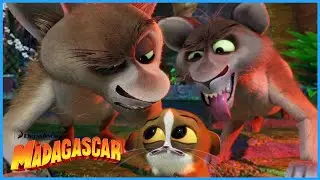 Beware of the Fossa! | Extended Preview | DreamWorks Madagascar