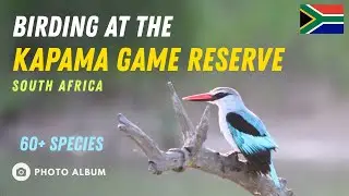 Birding at the Kapama Game Reserve