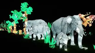La Jungle au Jardin des Plantes